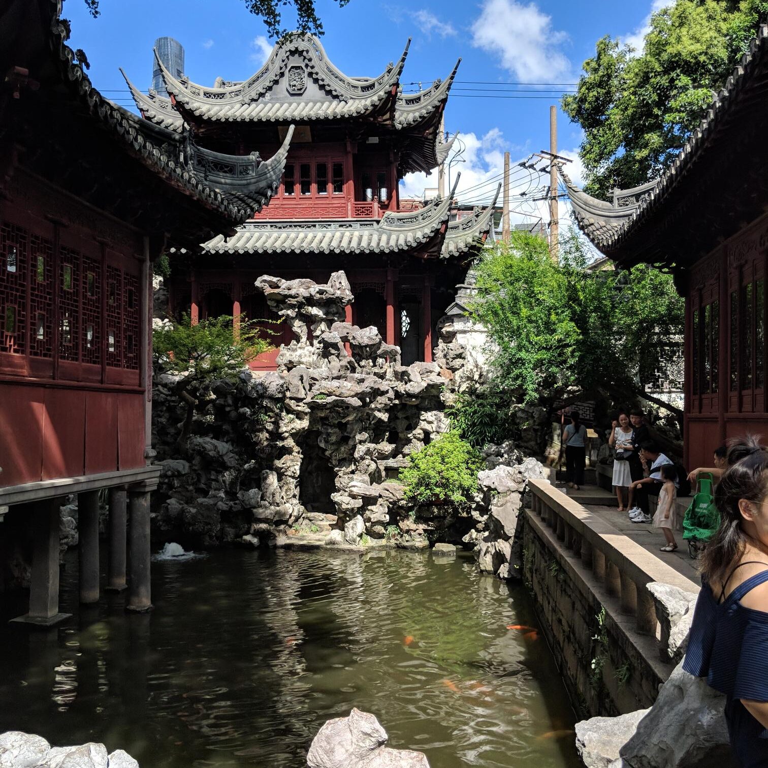 chinese acupunture chinese classical medicine herbs